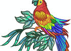 Stunning Parrots 008 7inch